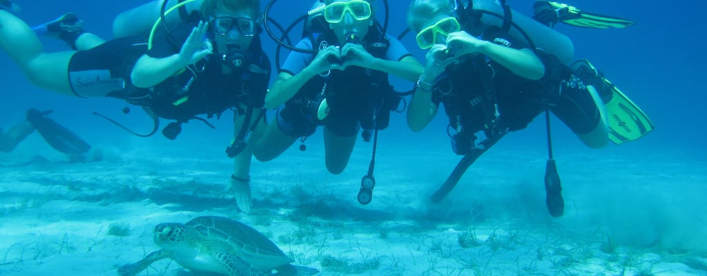 Discover Scuba Diving (TABA)