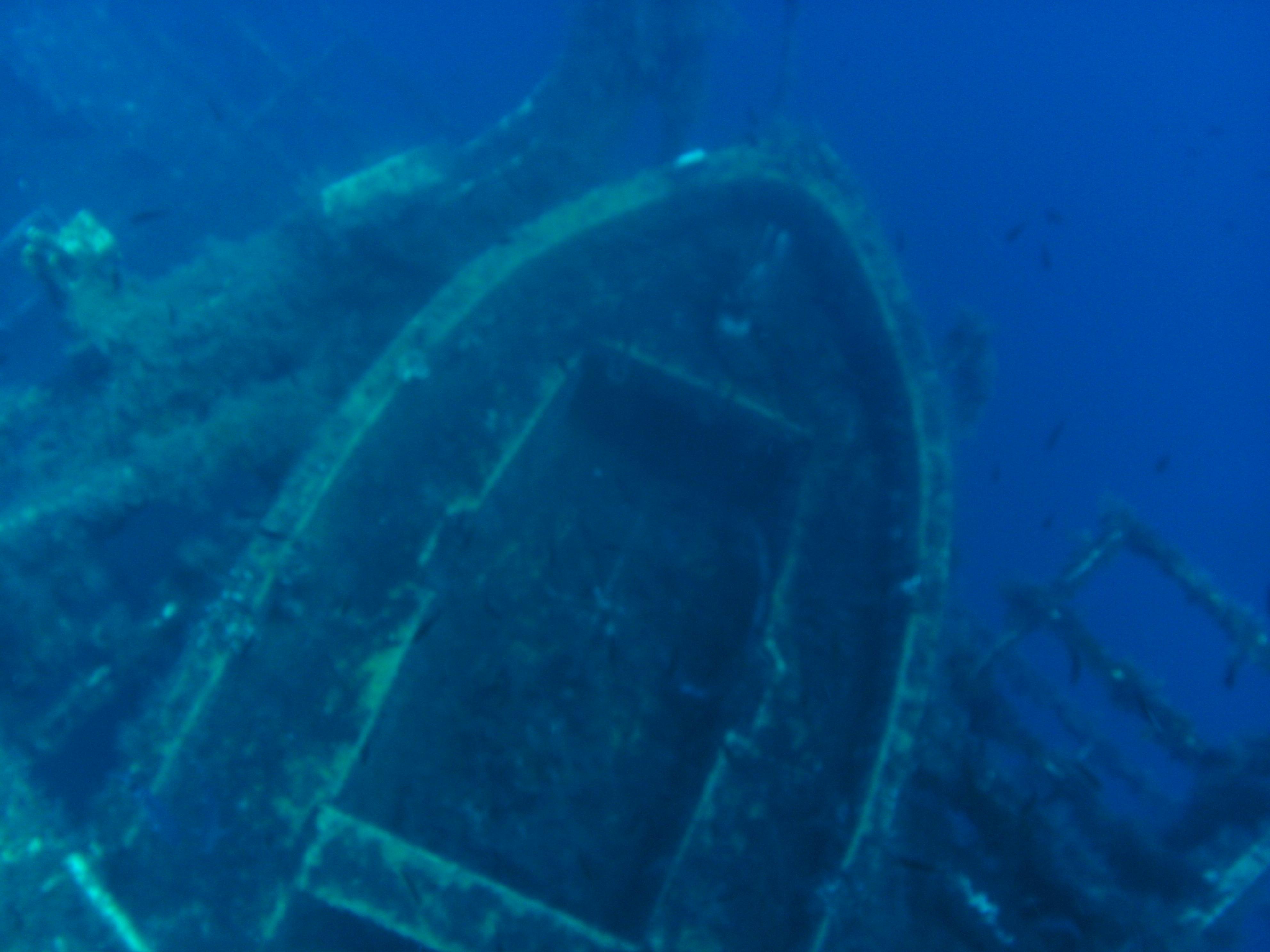 Zenobia Shipwreck Dive (TABA Diving)