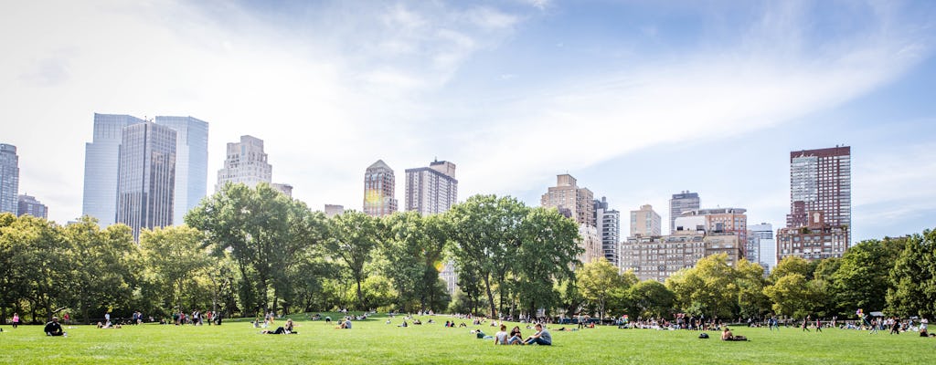 Experiencia de picnic en el parque central