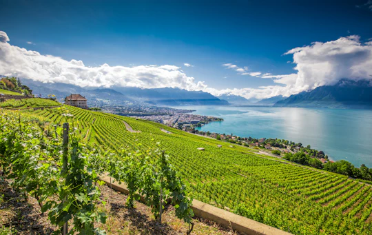 Glacier 3000 and Montreux bus day trip from Lausanne