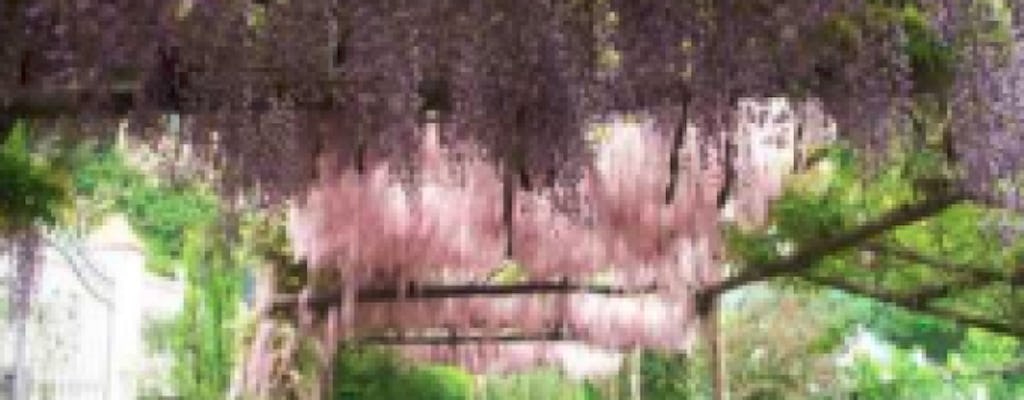 Giardino dell'Anima