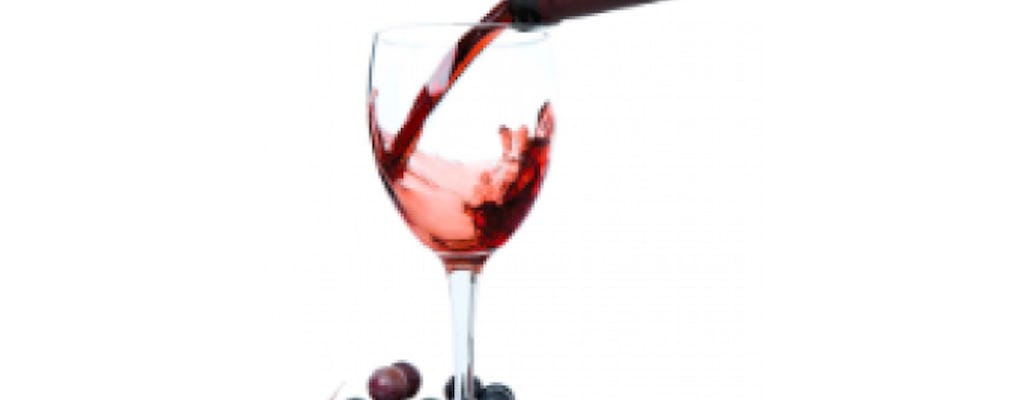 Degustazione Vini Cantina Apicella