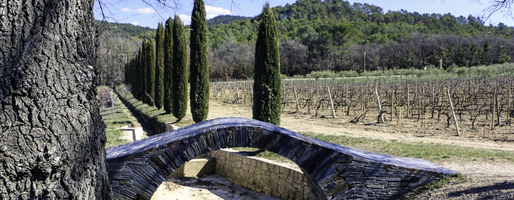 Visita privada a arte, arquitetura e vinhos finos no Château La Coste
