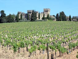 Chateauneuf Du Pape Vineyard Wine Tour Musement