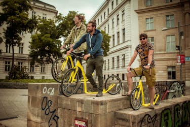 Tour di Vienna in bici