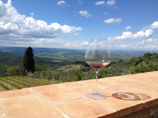 Biologische Brunello-wijntour met lunch in Montalcino
