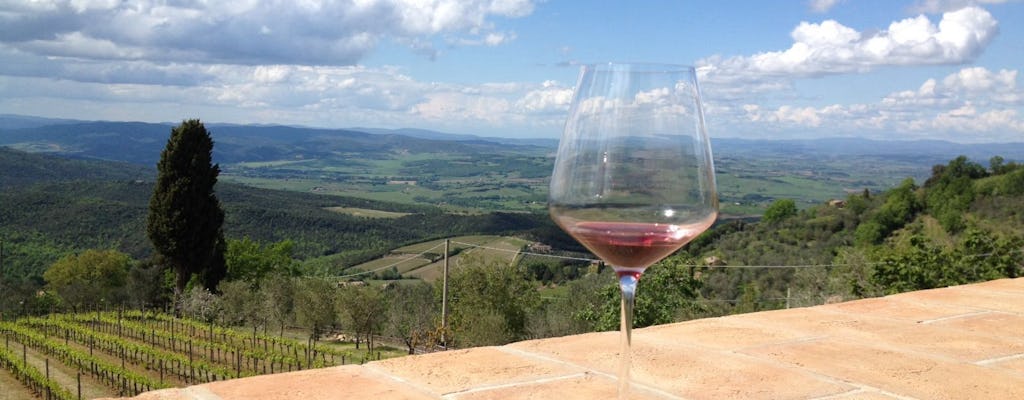 Bio-Brunello-Weintour mit Mittagessen in Montalcino