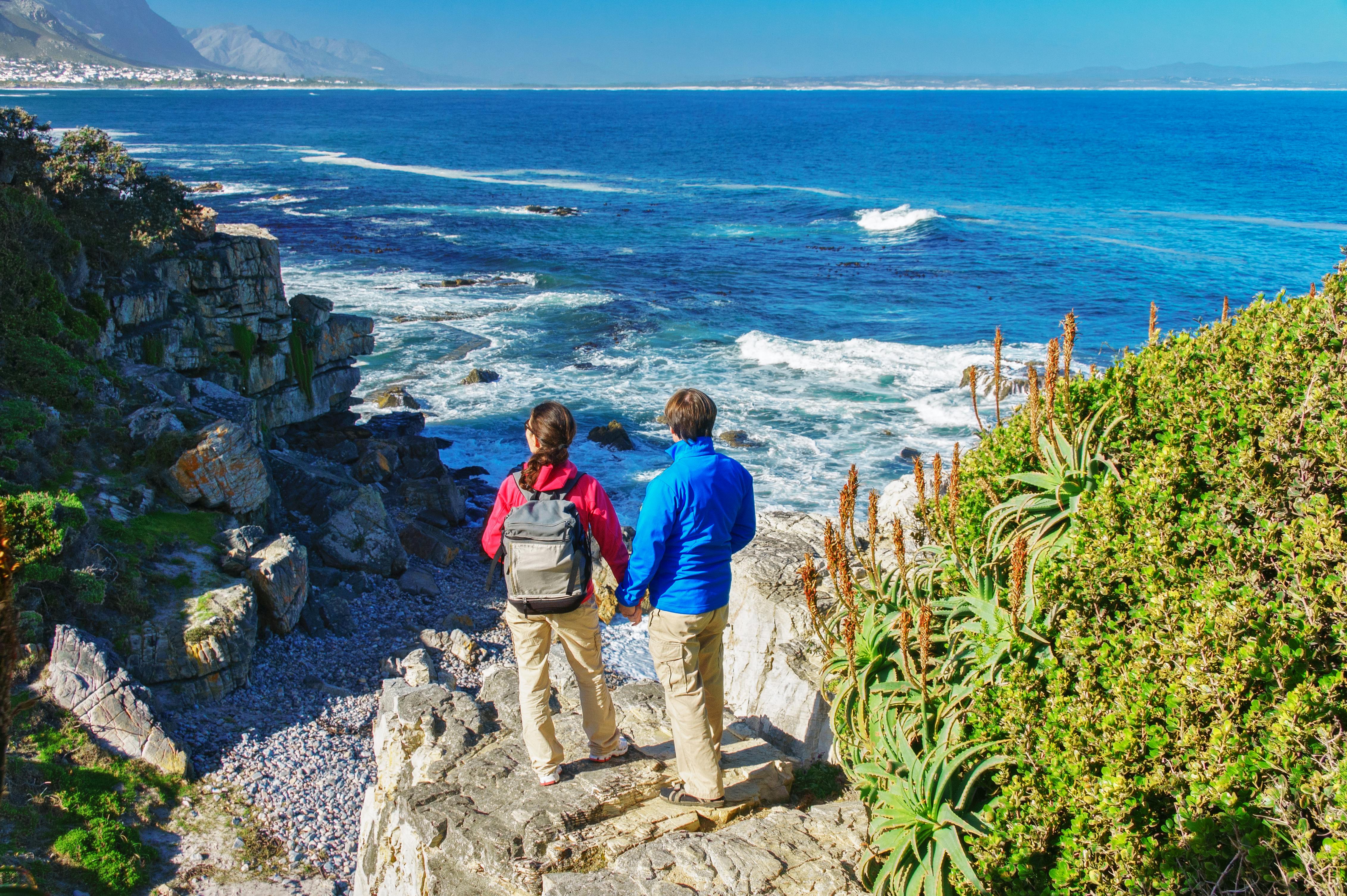 Hermanus full-day tour from Cape Town