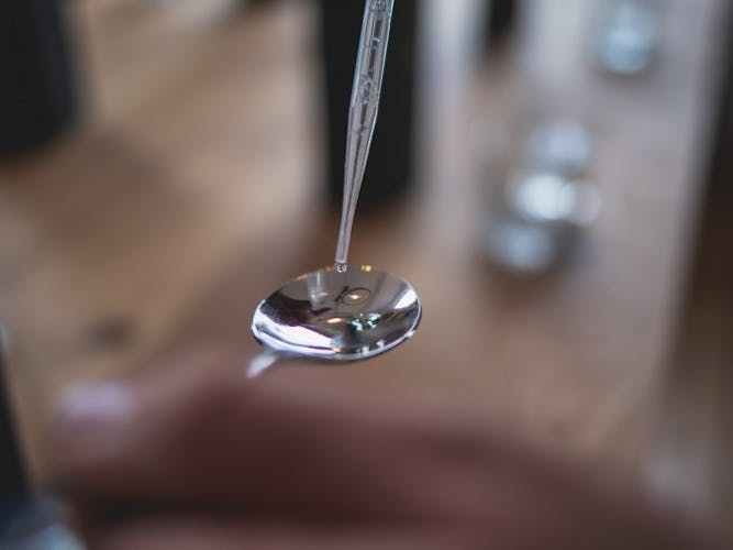 2-hour Gin tasting in Hamburg´s HafenCity