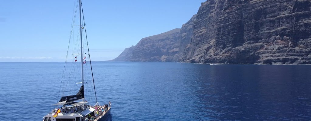 Whale watching boat trip to Los Gigantes and Masca