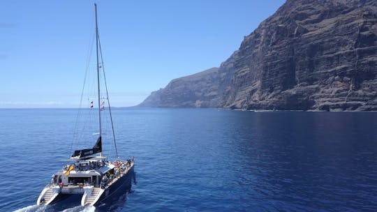 Whale watching boat trip to Los Gigantes and Masca