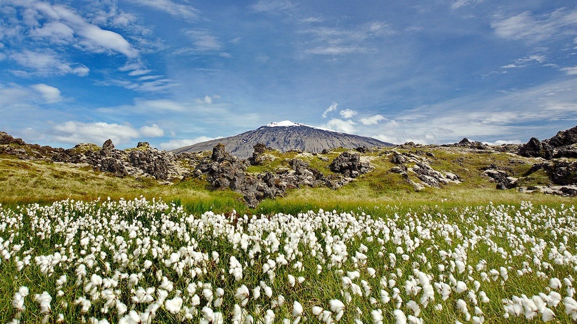 Discover the wonders of Snæfellsnes National Park