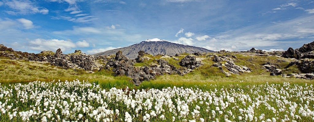 Discover the wonders of Snæfellsnes National Park