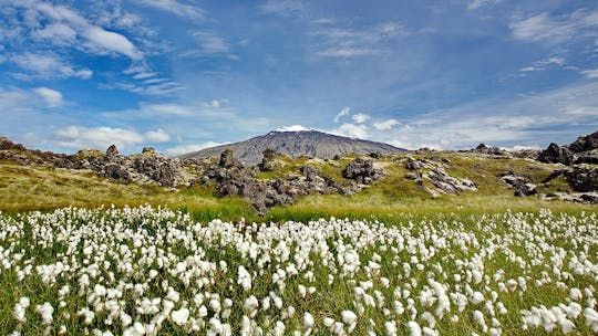 Snæfellsnes National Park dagtour