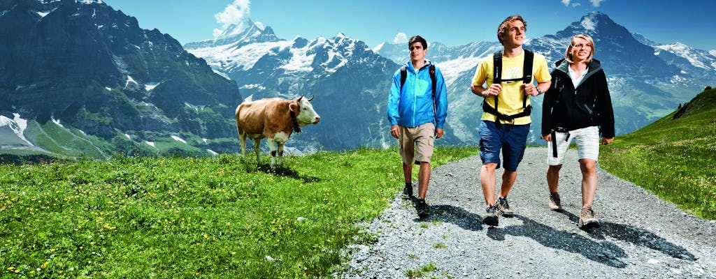 Viaje de día completo a Grindelwald e Interlaken desde Lucerna
