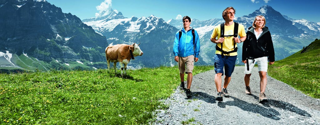 Excursion d'une journée à Grindelwald et Interlaken depuis Lucerne