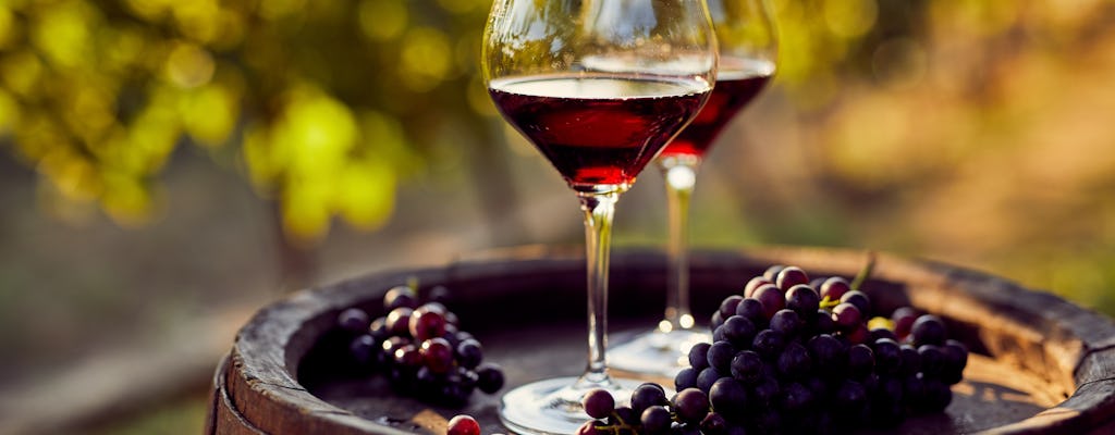 Degustação de vinhos na vinícola San Quirico