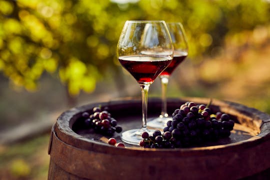 Weinproben im Weingut San Quirico