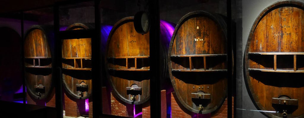 Wycieczka do piwnicy, pokaz świetlny i degustacja wina Blanquette i Crémant