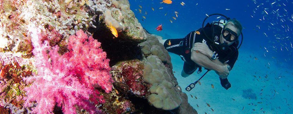 PADI Rescue Diving Course – two days