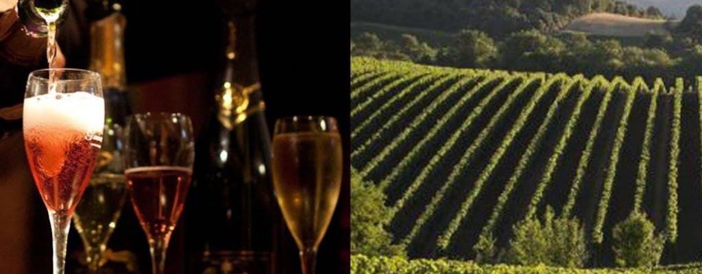 Sparkling wine initiation and tastings