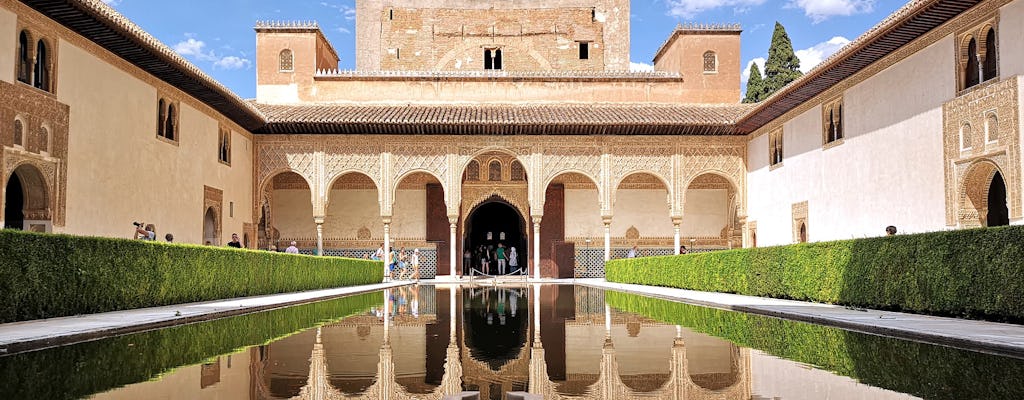 Wycieczka z przewodnikiem po Alhambrze z Estepony, Torremolinos i Nerji