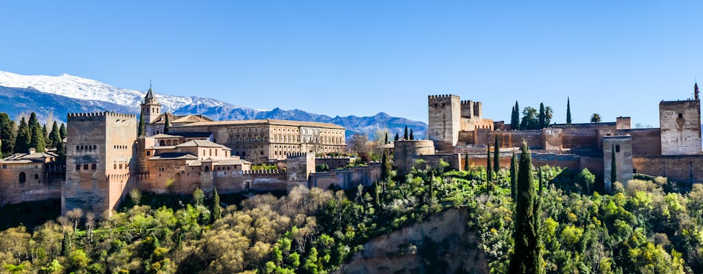 Visita guiada a la Alhambra desde Estepona, Torremolinos o Nerja