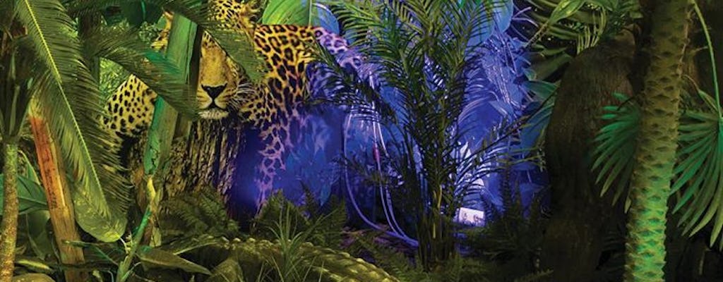 3 in 1 toegangsbewijs voor Jungle Park, Dungeon en Safari