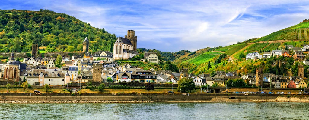 Frankfurt City bus tour and half-day trip in Rhine Valley with wine tasting, boat ride and dinner