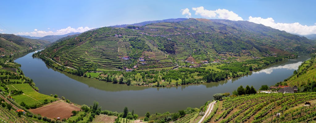 Wycieczka do doliny Douro i bilet na autobus Hop-On Hop-Off w Porto