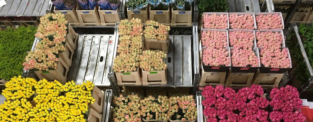 Holenderskie wiatraki, kwiaty i ukryte skarby z wycieczką na farmę serów i rejs po jeziorach Kagerplassen z Amsterdamu