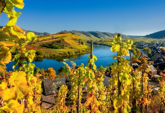 Wines and sights of the Moselle Valley