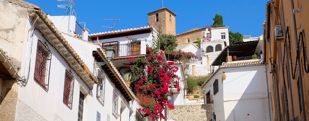 Passeio privado a pé por Albayzin e Sacromonte