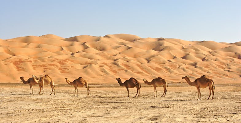 Best of Oman całodniowa prywatna wycieczka z napędem na 4 koła w Wahiba Sands