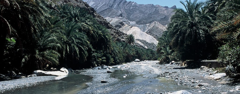 4WD private tour to the White Wadi and Nakhl