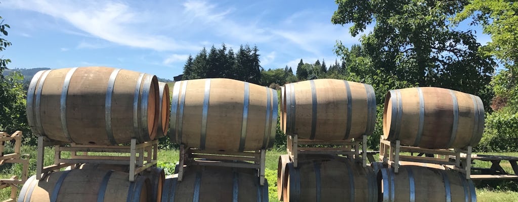 Visite des chutes Multnomah et des gorges et dégustation de vin