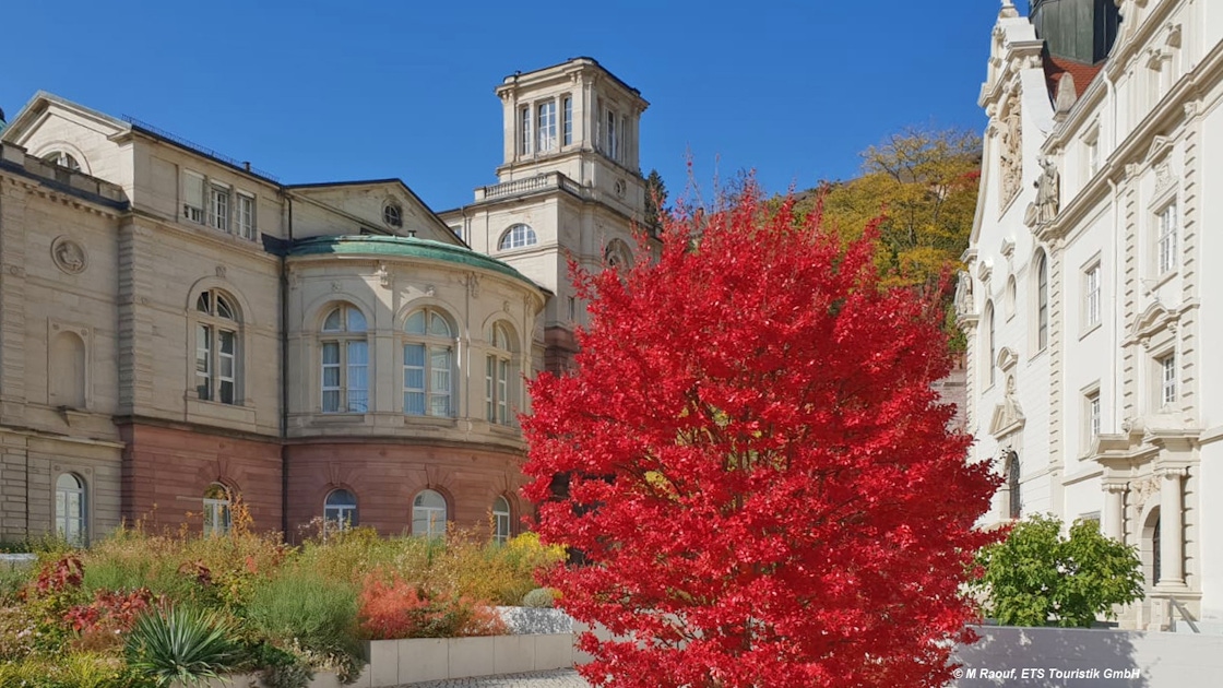 Baden intelligence overview