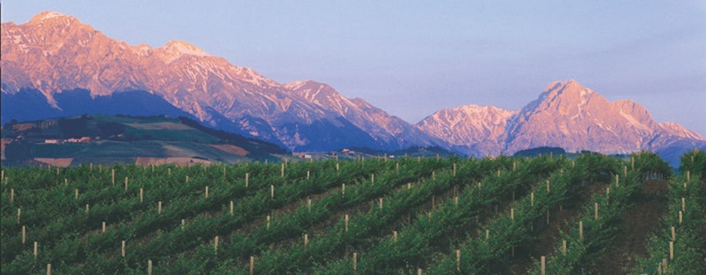 Besuch und Verkostung im Weingut San Lorenzo