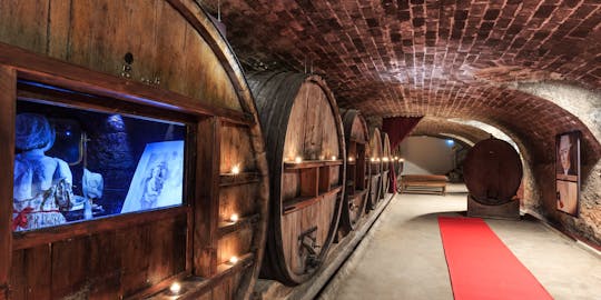 Tour del vino e degustazione di vino al Castello di Saint Martin