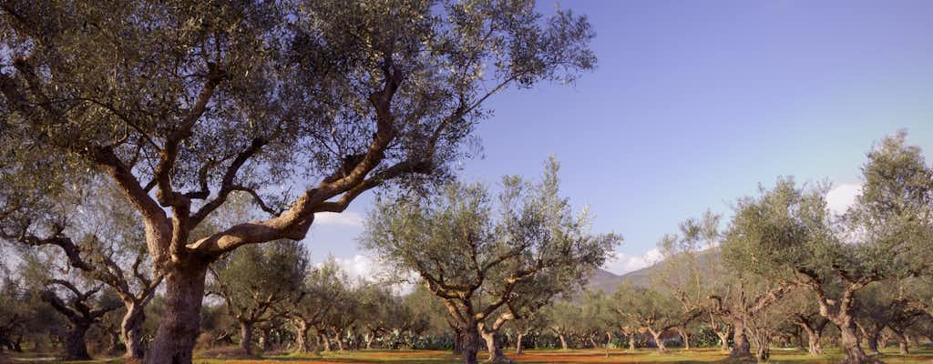 Entradas e tours para Kalamata