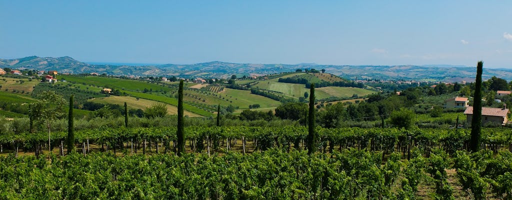 Visita alla cantina di Pian di Mare