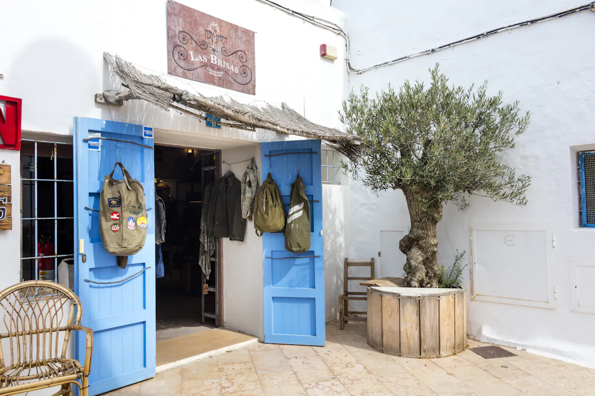 Formentera autobusem