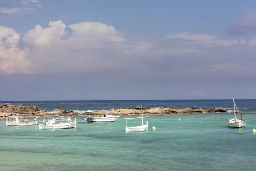 Formentera autobusem