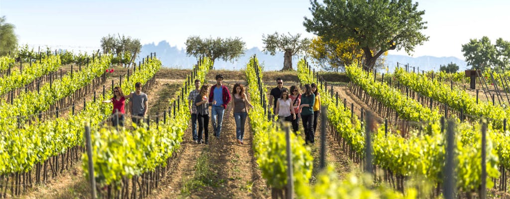 Caminata por el Penedès y vinos