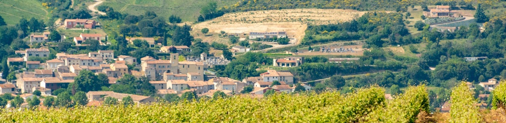 Tours and activities in Limoux