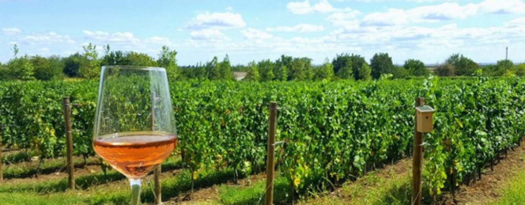 Prahova Valley Wine Tour from Bucharest