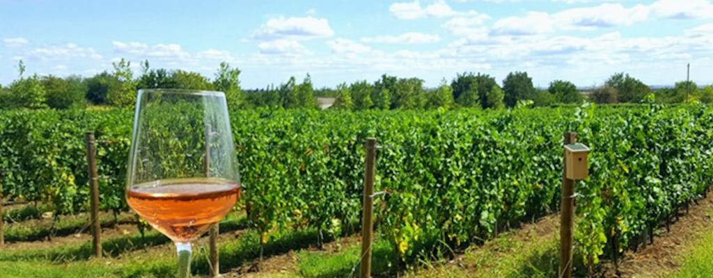 Tour del vino della Valle di Prahova da Bucarest