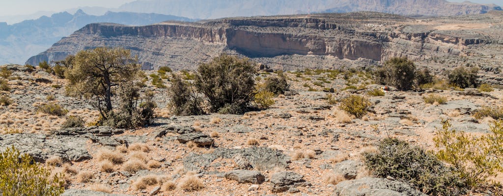 Excursion privée d'une journée en 4x4 dans le grand canyon d'Oman