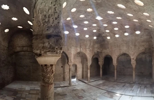Medieval Palaces and Moorish Houses Facing the Alhambra