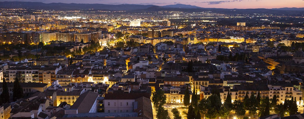 Tour avventuroso notturno di Granada